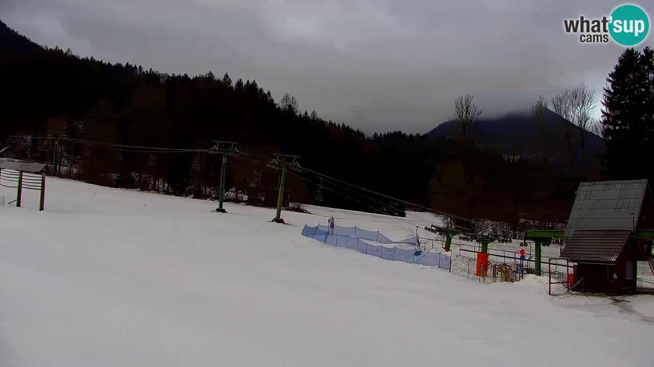 Ski Kranjska Gora | Velika Dolina