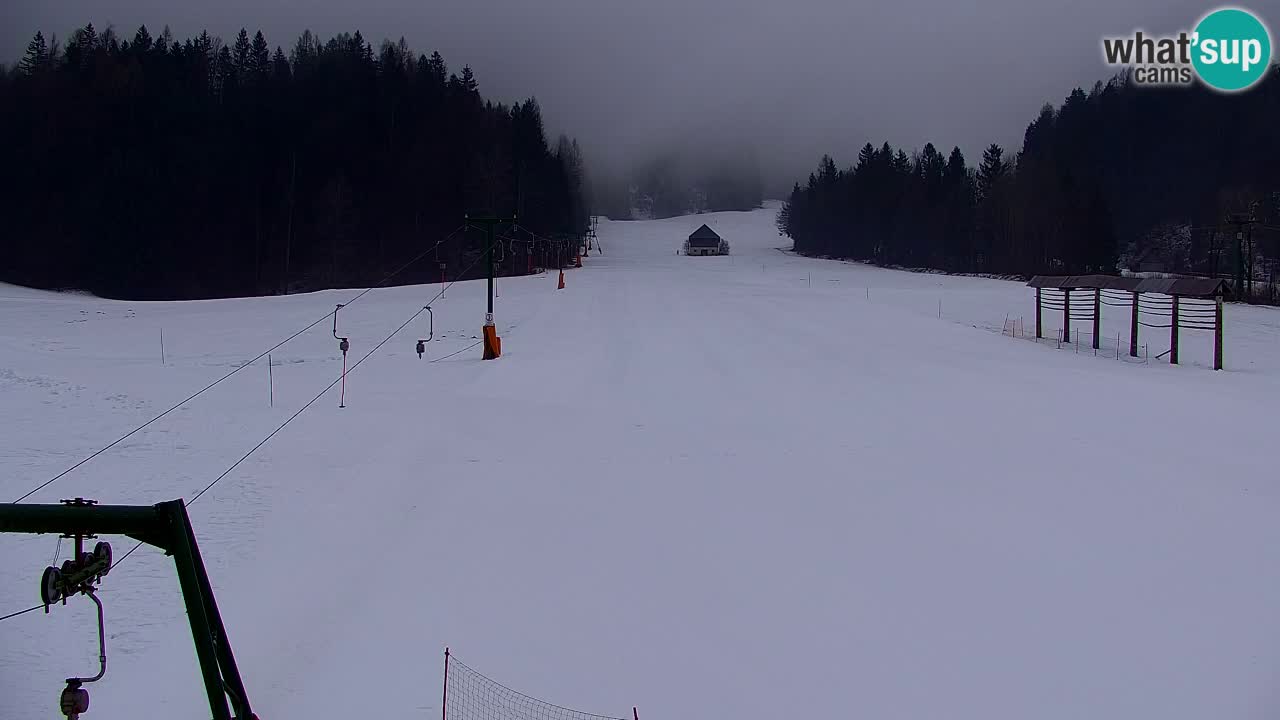 Estación de esquí Kranjska Gora | Velika Dolina