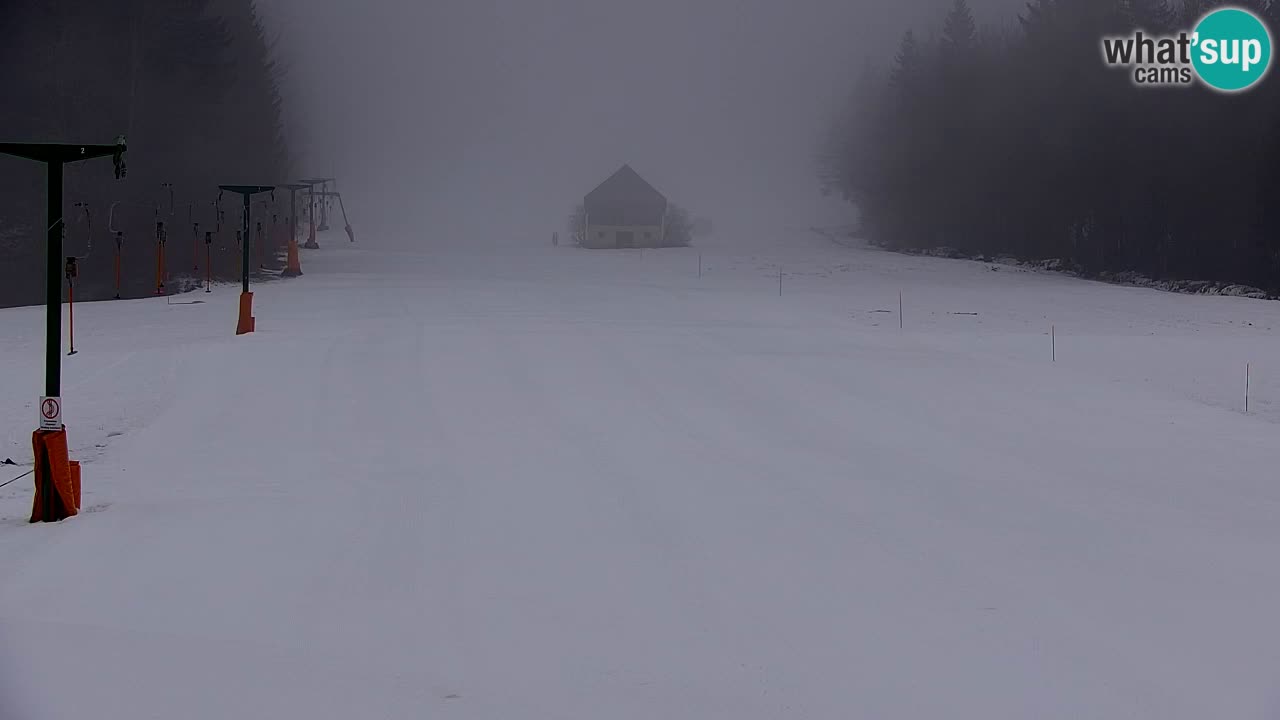 Skigebiet Kranjska Gora | Velika Dolina