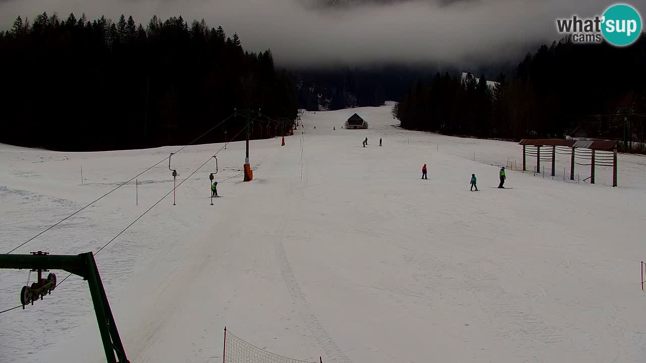 Skigebiet Kranjska Gora | Velika Dolina