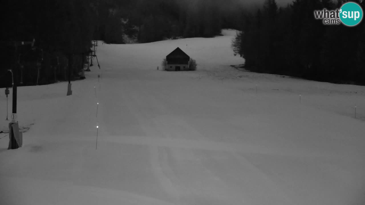 Ski Kranjska Gora | Velika Dolina