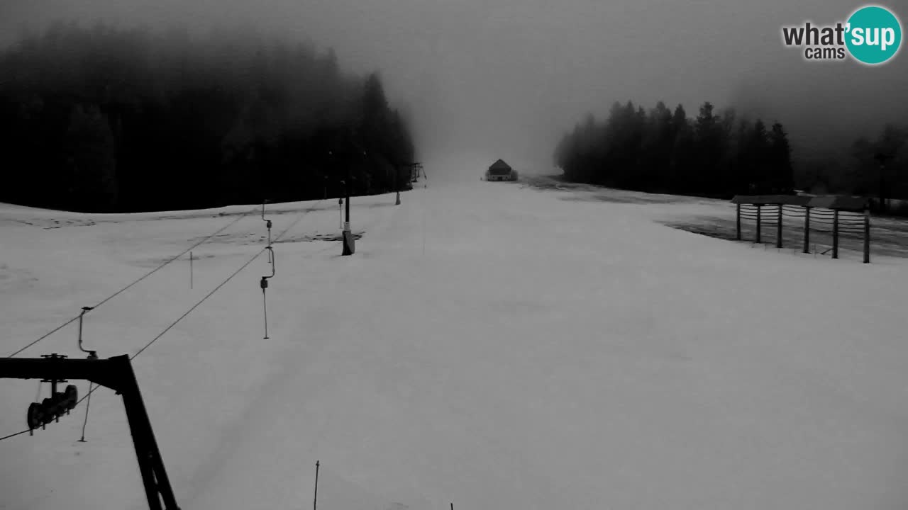 Kranjska Gora | Velika Dolina