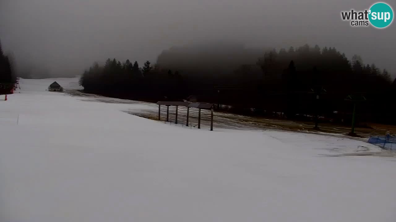 Kranjska Gora | Velika Dolina