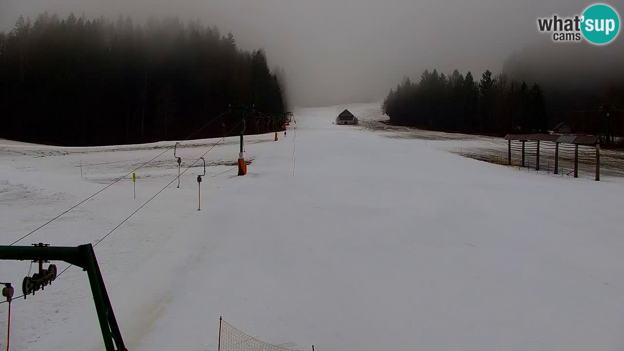 Skigebiet Kranjska Gora | Velika Dolina