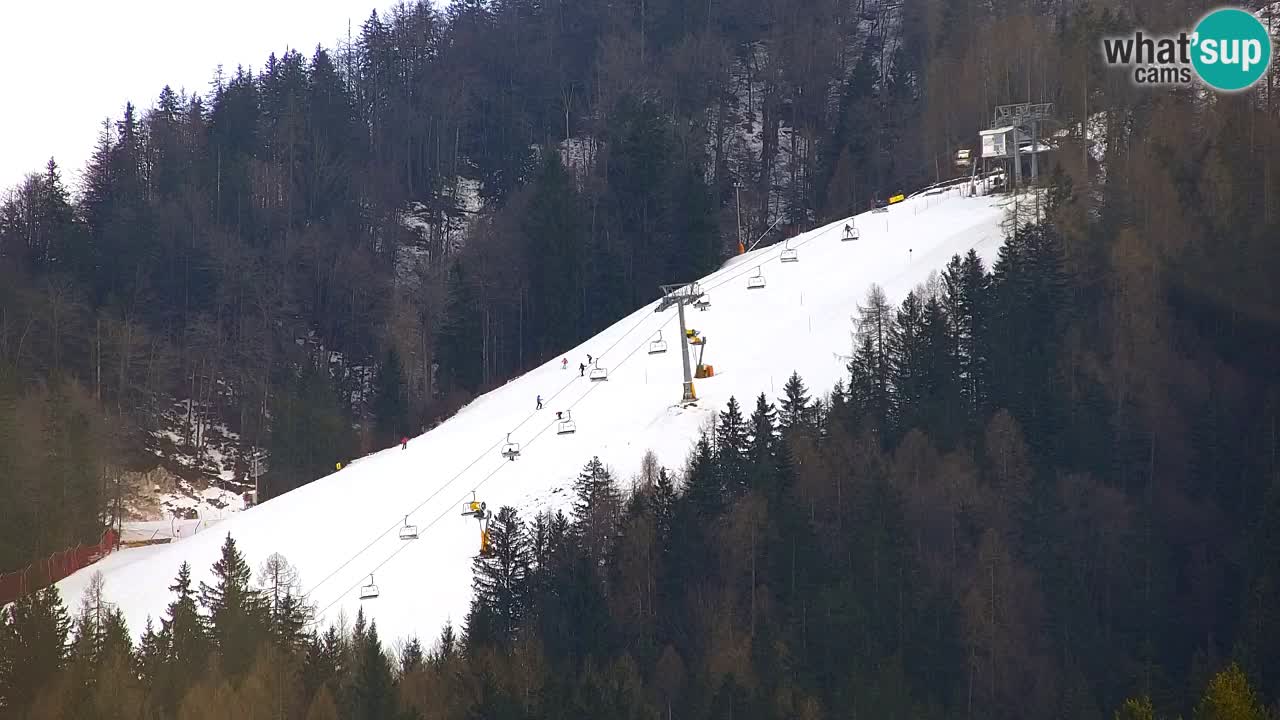 Estación de esquí Kranjska Gora | Velika Dolina