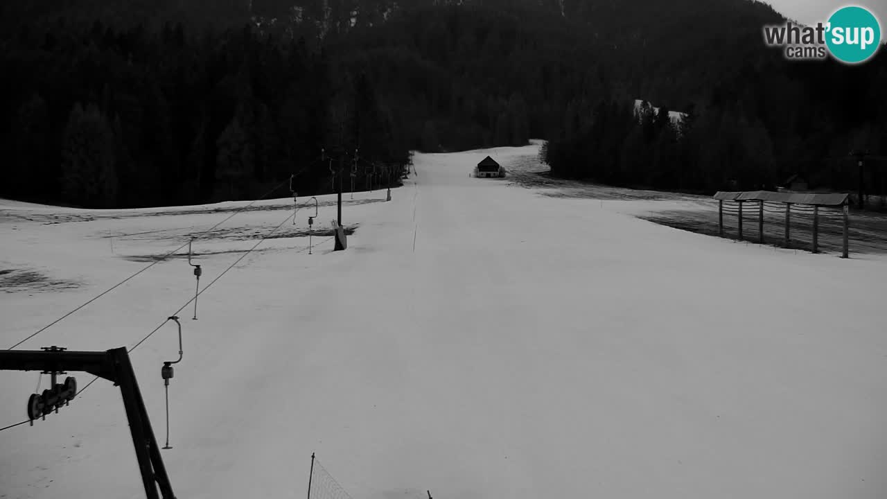 Skijanje Kranjska Gora | Velika Dolina