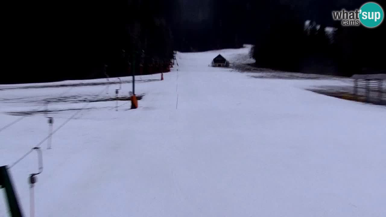 Estación de esquí Kranjska Gora | Velika Dolina