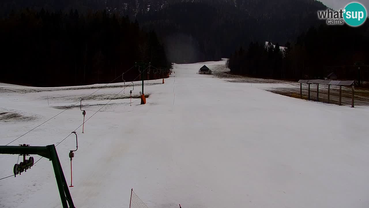 Skijanje Kranjska Gora | Velika Dolina