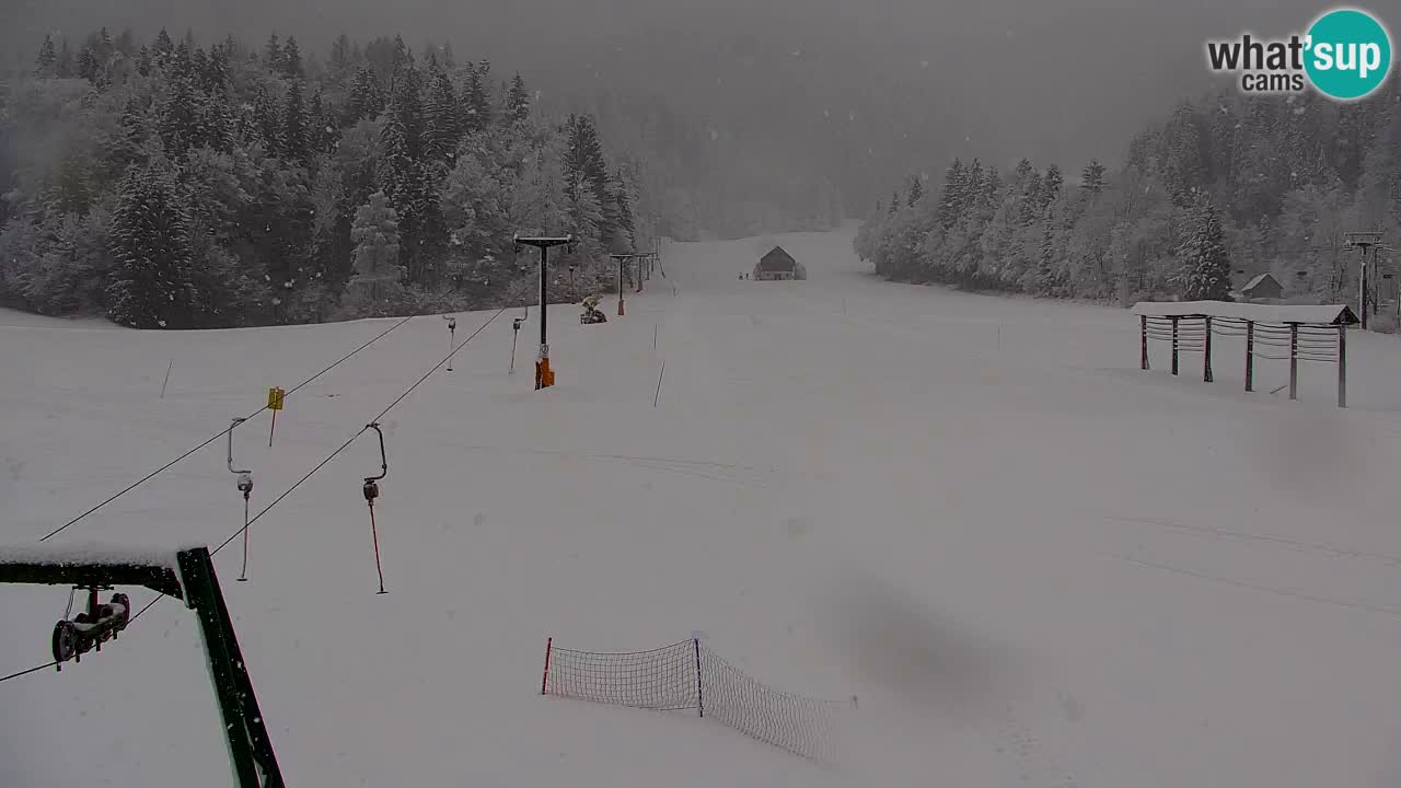 Skijanje Kranjska Gora | Velika Dolina