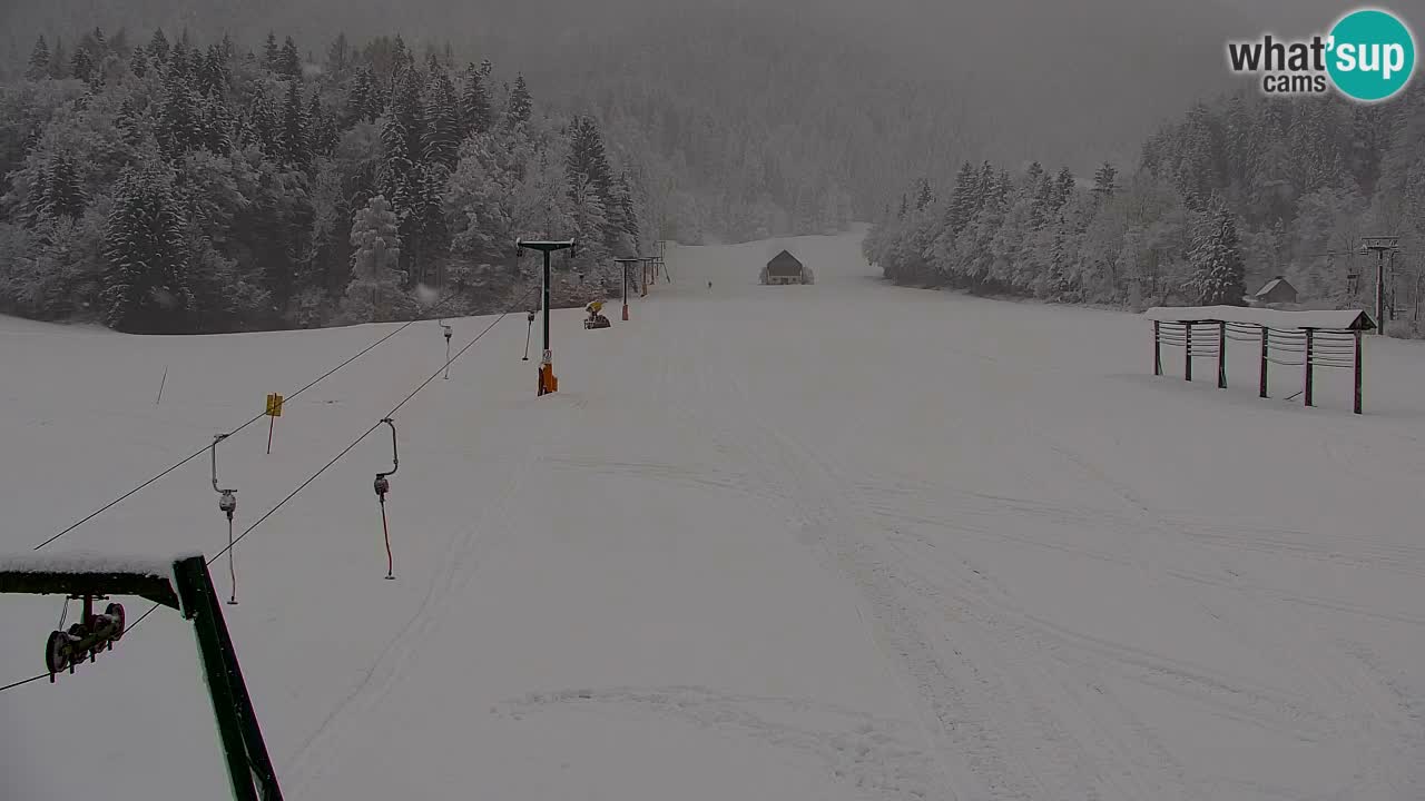 Ski Kranjska Gora | Velika Dolina