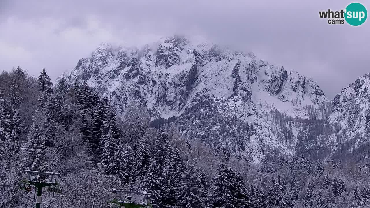 Skijanje Kranjska Gora | Velika Dolina