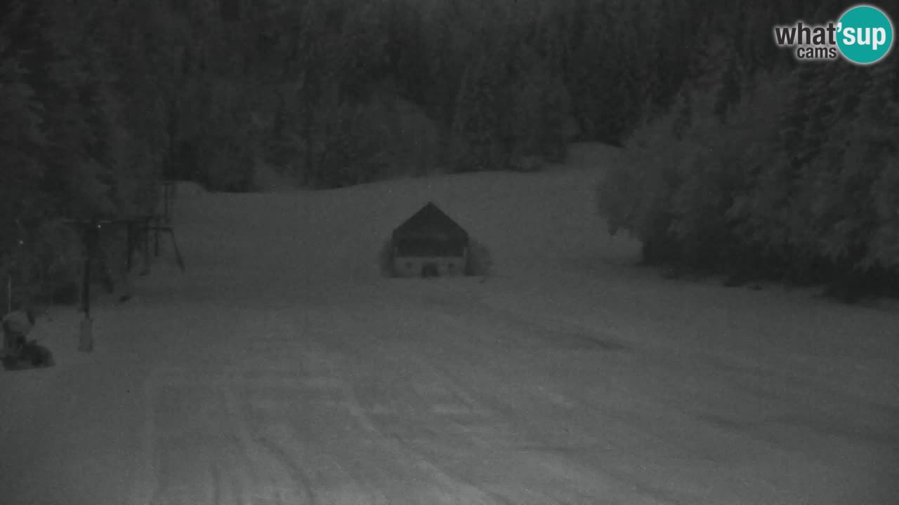 Ski Kranjska Gora | Velika Dolina