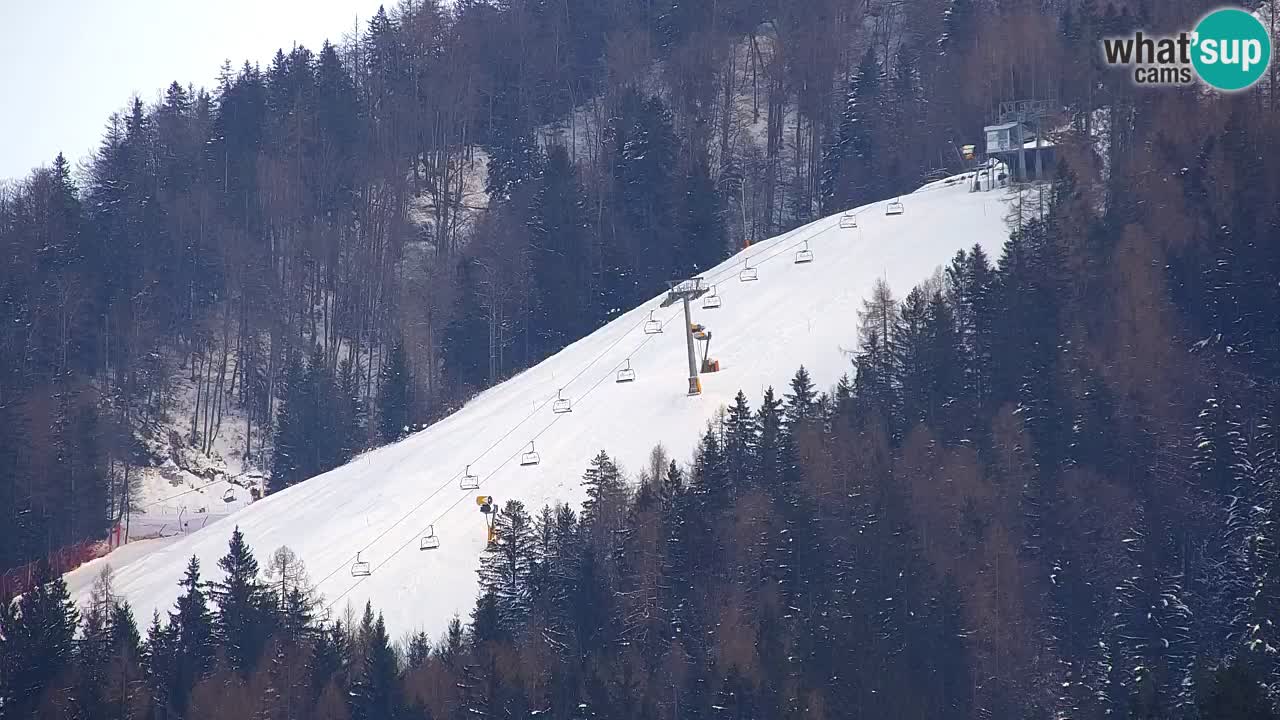 Estación de esquí Kranjska Gora | Velika Dolina