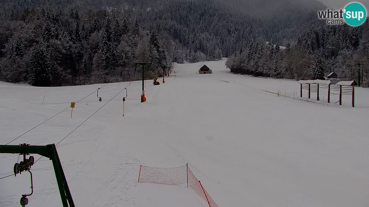 Kranjska Gora | Velika Dolina