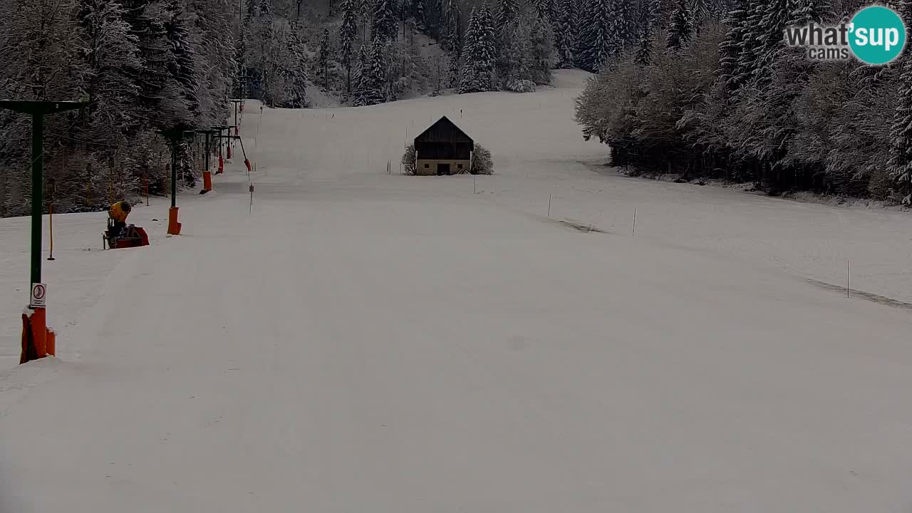 Estación de esquí Kranjska Gora | Velika Dolina