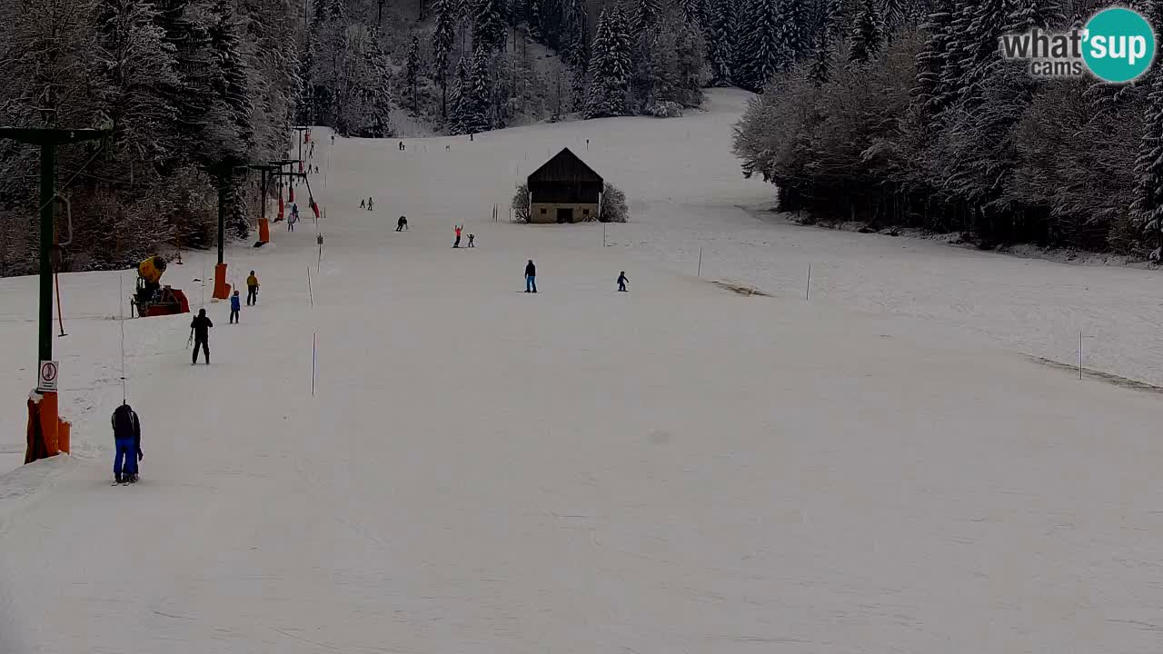 Skigebiet Kranjska Gora | Velika Dolina