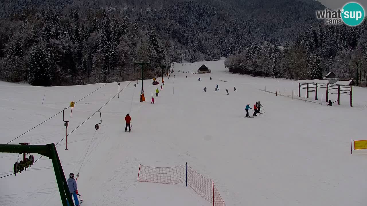 Skigebiet Kranjska Gora | Velika Dolina