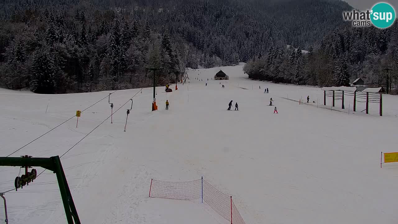 Kranjska Gora | Velika Dolina