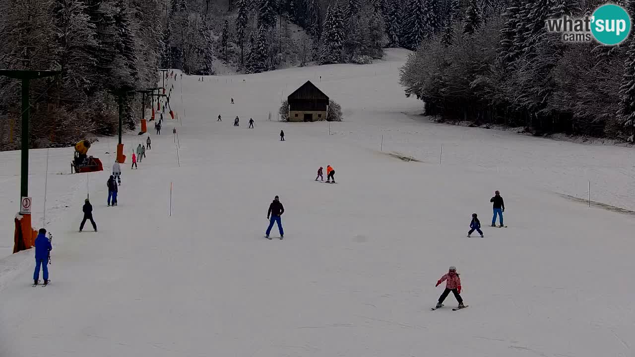 Station de ski Kranjska Gora | Velika Dolina