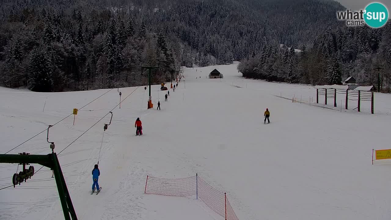 Station de ski Kranjska Gora | Velika Dolina