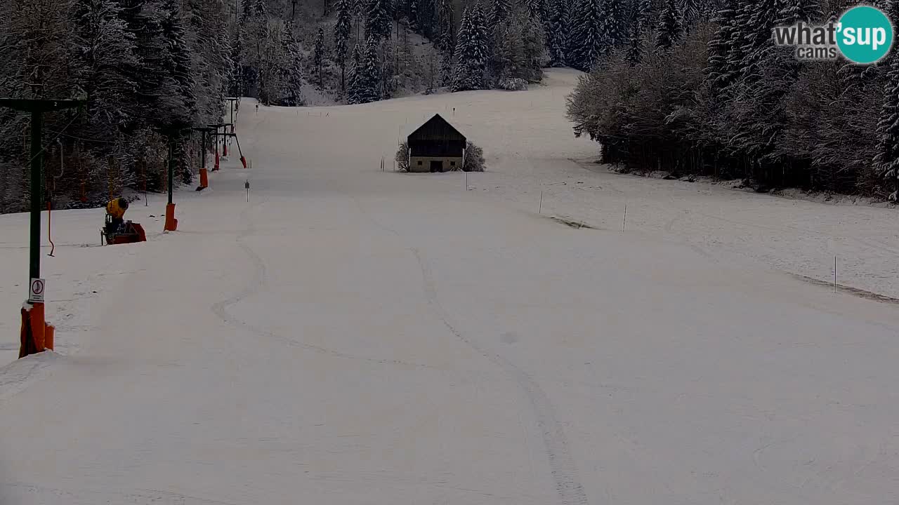 Skijanje Kranjska Gora | Velika Dolina