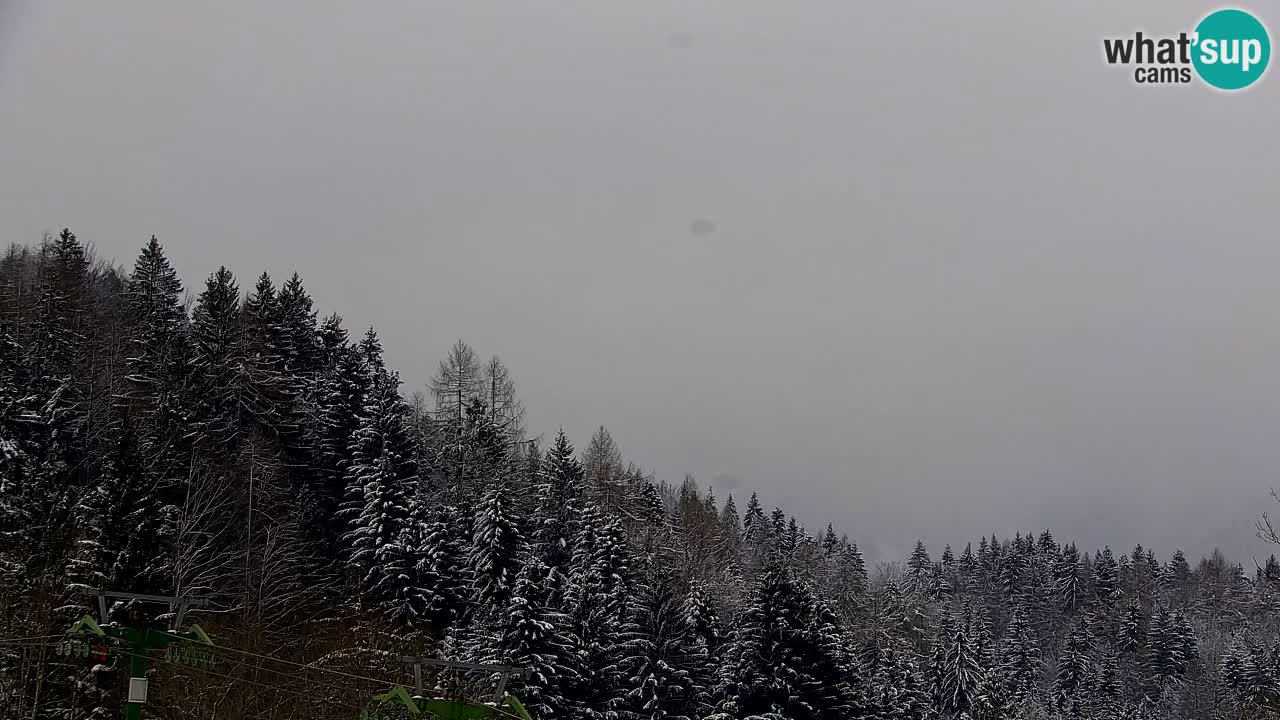 Skigebiet Kranjska Gora | Velika Dolina