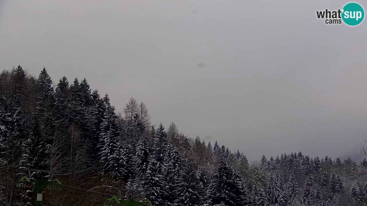 Kranjska Gora | Velika Dolina