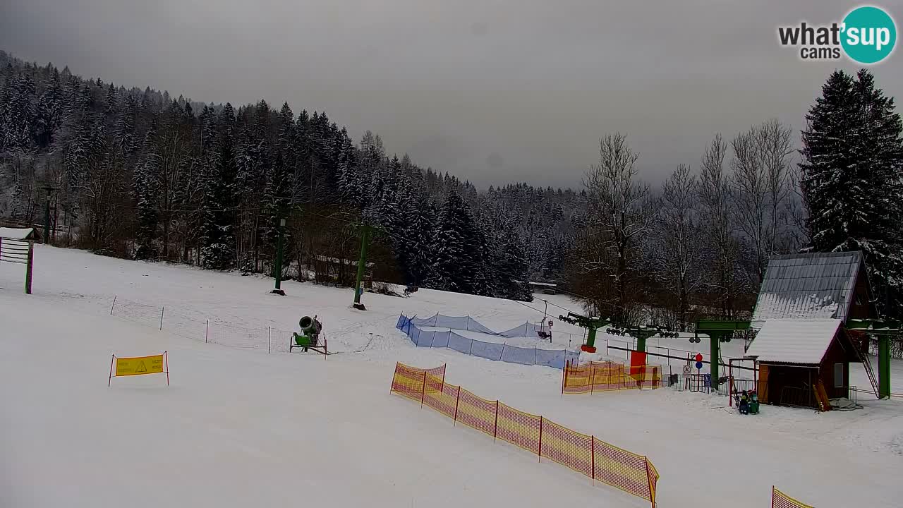 Skijanje Kranjska Gora | Velika Dolina