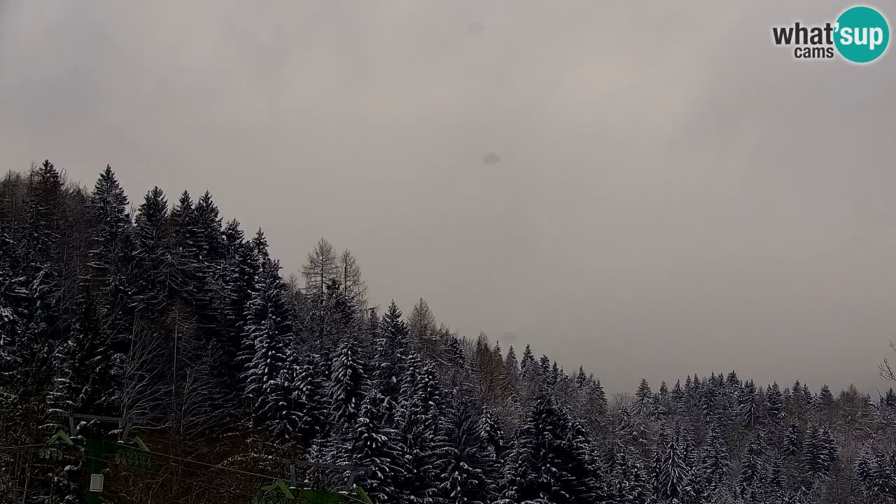 Skijanje Kranjska Gora | Velika Dolina