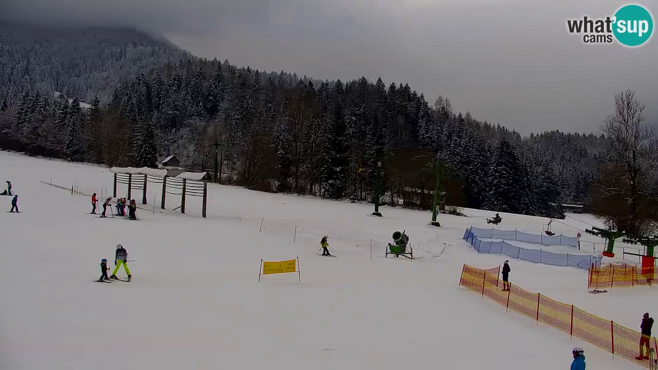 Skigebiet Kranjska Gora | Velika Dolina