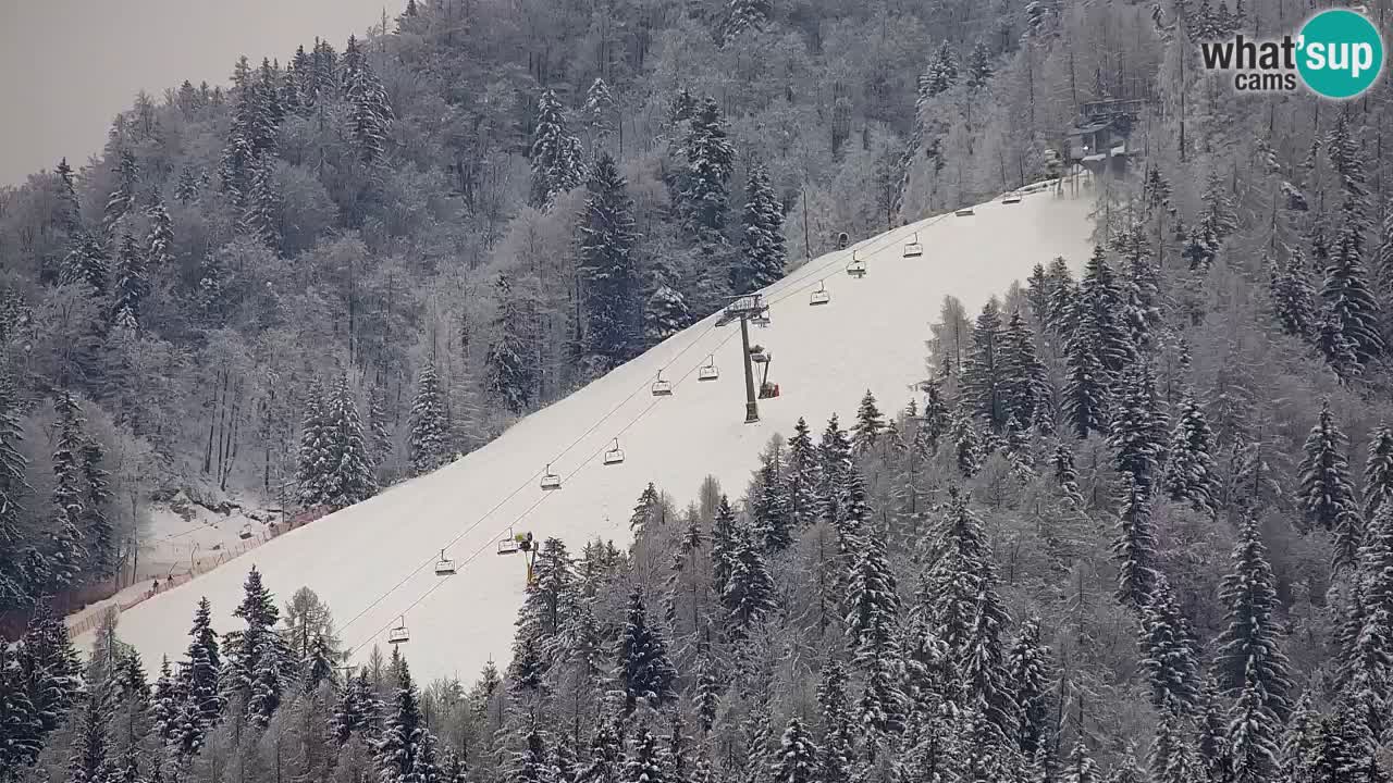 Skijanje Kranjska Gora | Velika Dolina