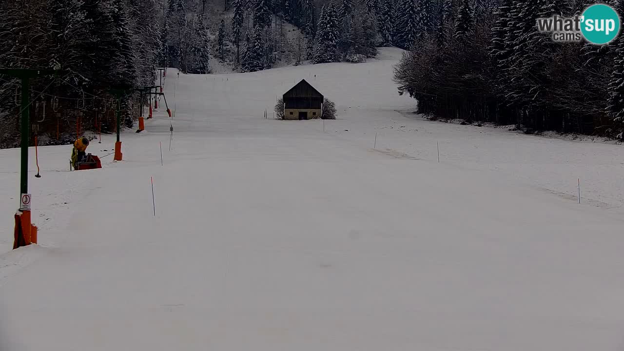 Ski Kranjska Gora | Velika Dolina