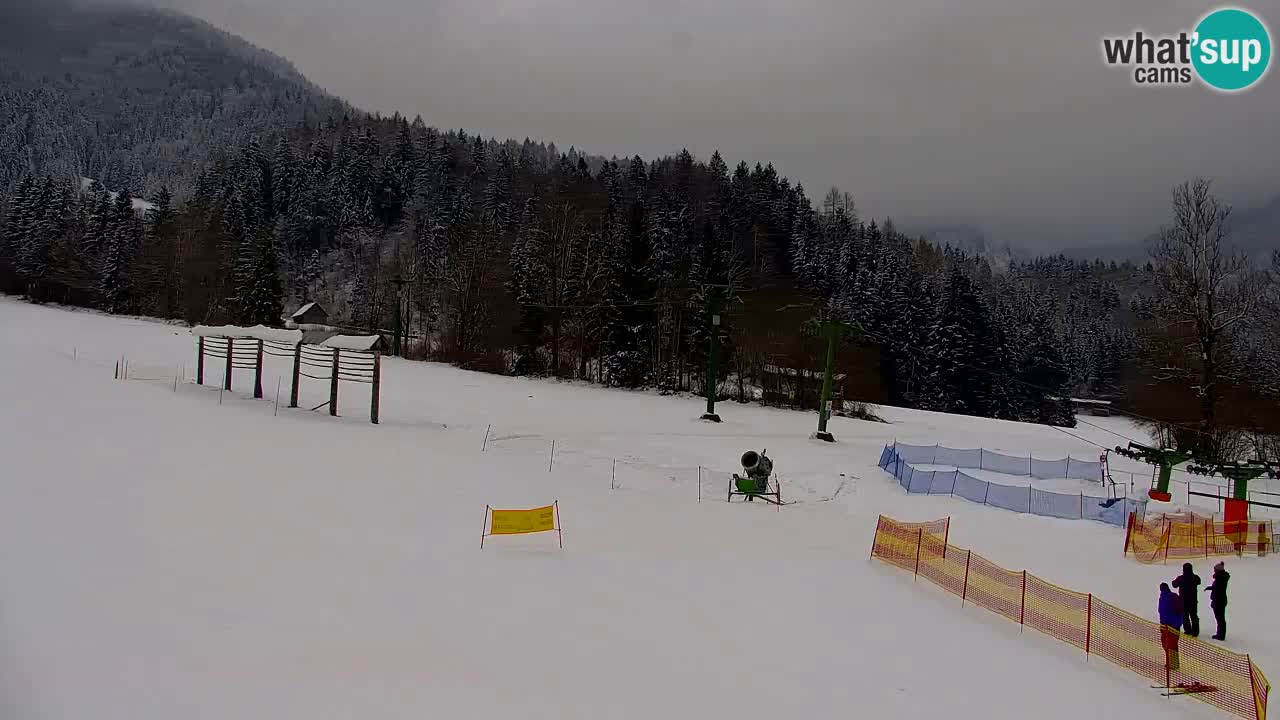 Ski Kranjska Gora | Velika Dolina