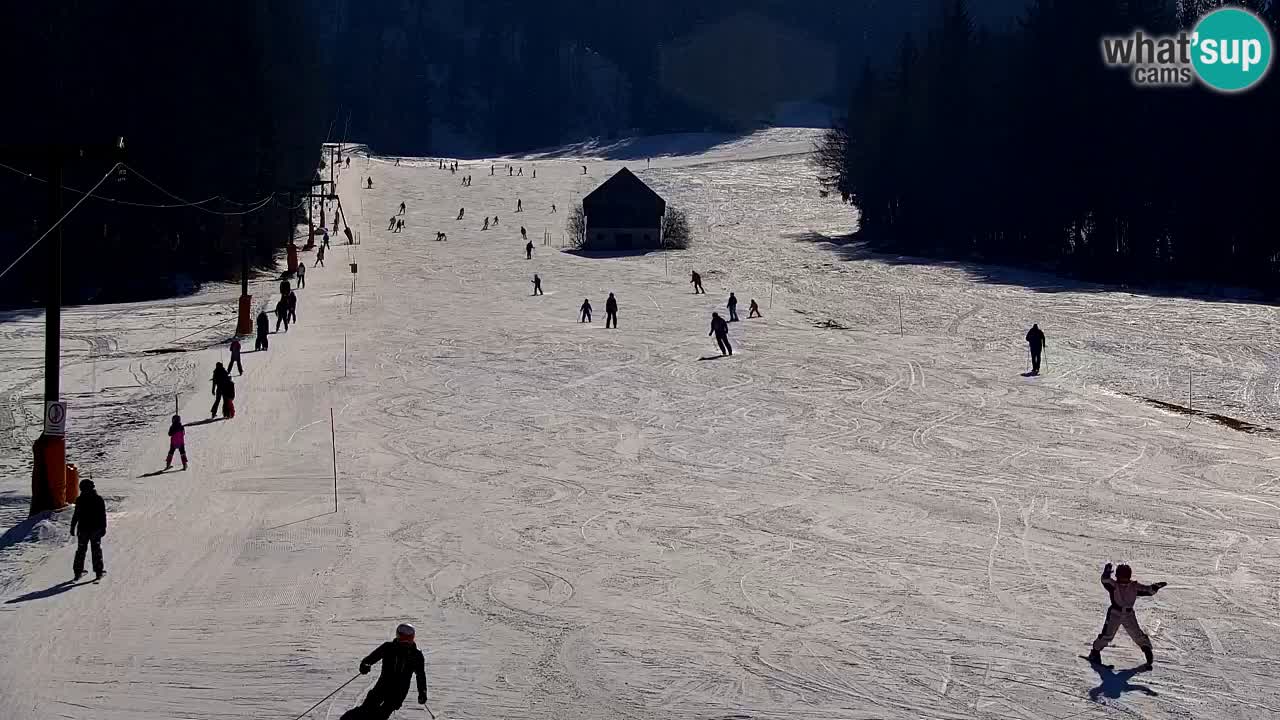 Ski Kranjska Gora | Velika Dolina