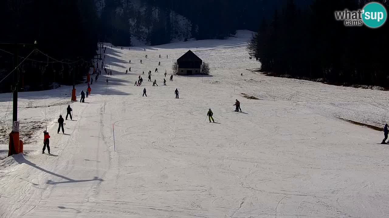 Station de ski Kranjska Gora | Velika Dolina