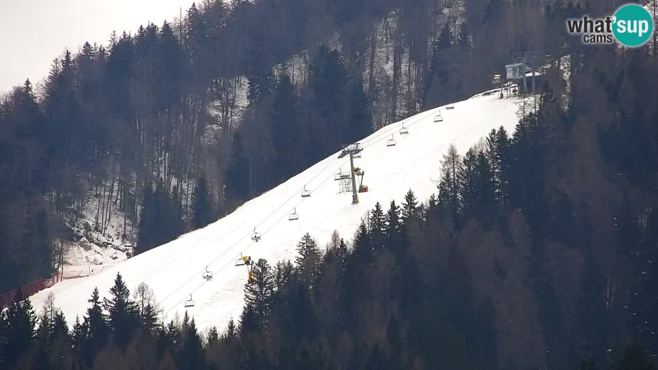 Station de ski Kranjska Gora | Velika Dolina