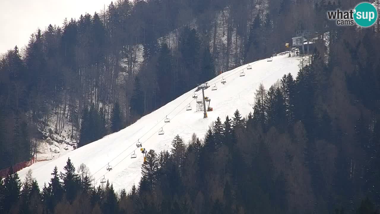 Ski Kranjska Gora | Velika Dolina