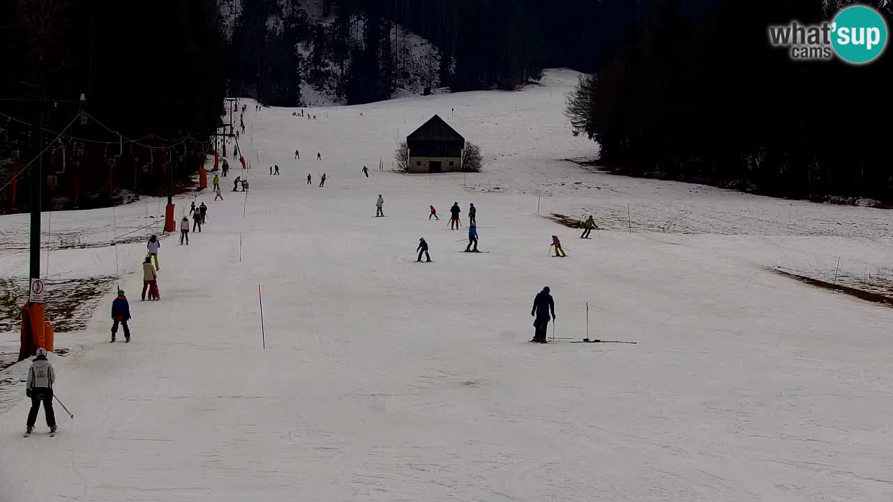 Ski Kranjska Gora | Velika Dolina