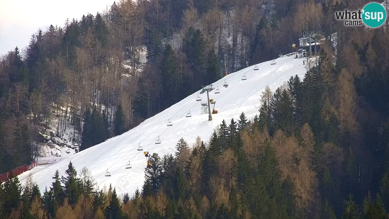 Ski Kranjska Gora | Velika Dolina