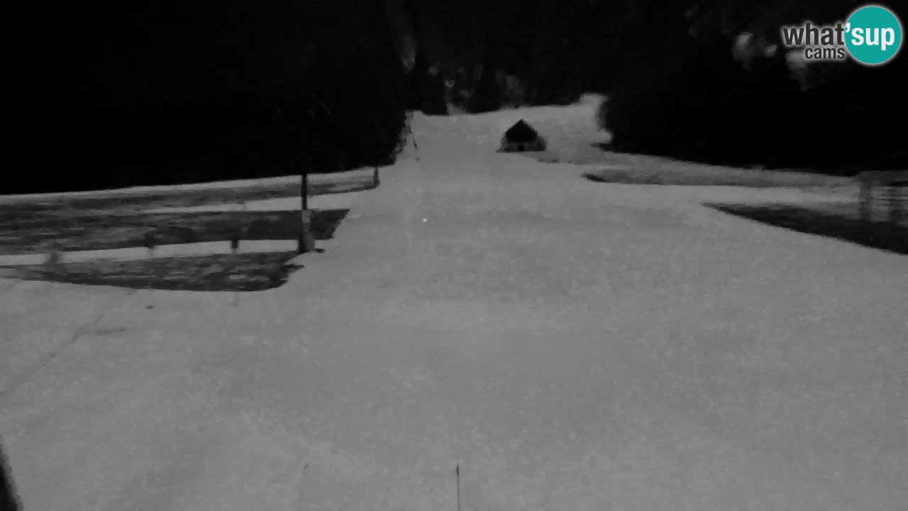 Estación de esquí Kranjska Gora | Velika Dolina