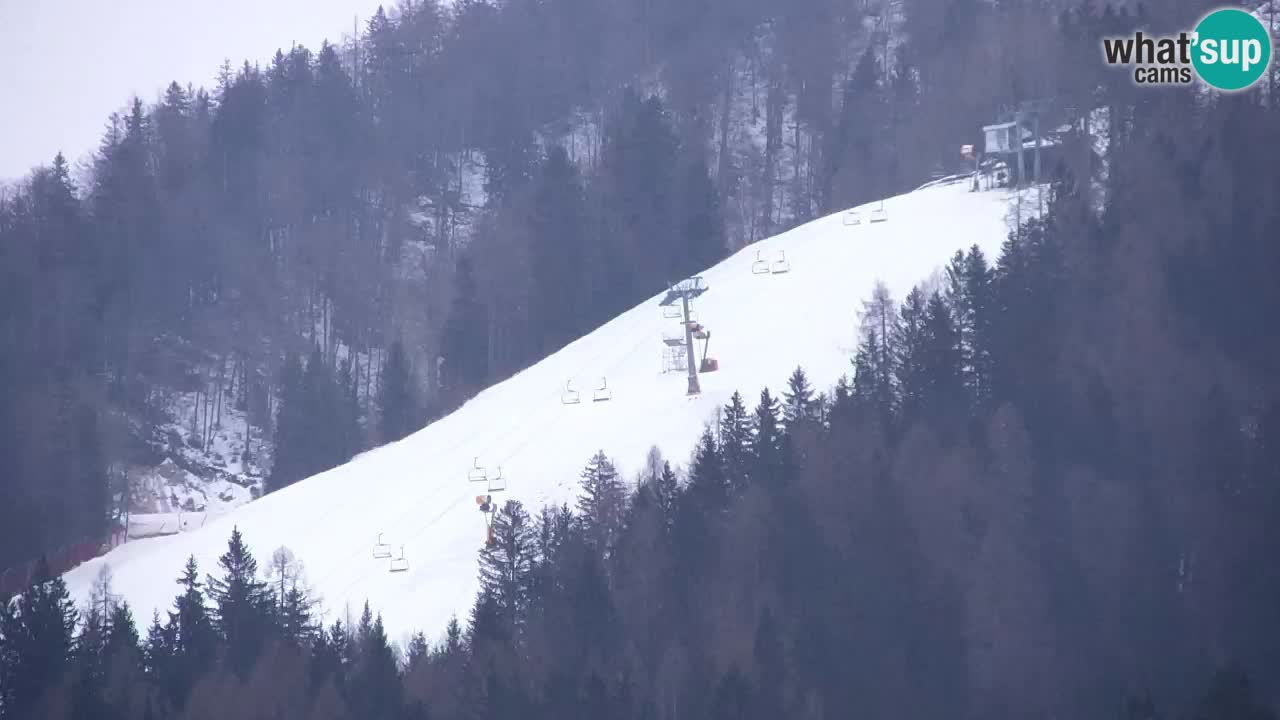 Skigebiet Kranjska Gora | Velika Dolina