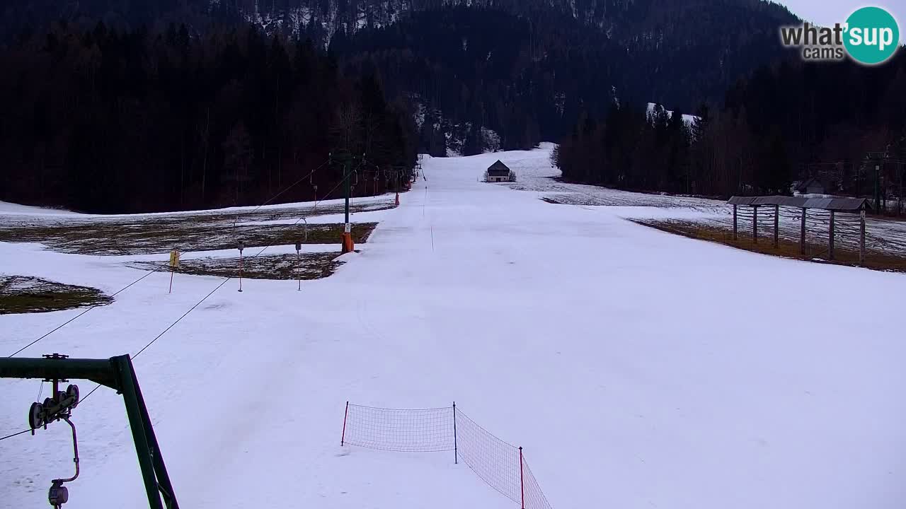 Skigebiet Kranjska Gora | Velika Dolina