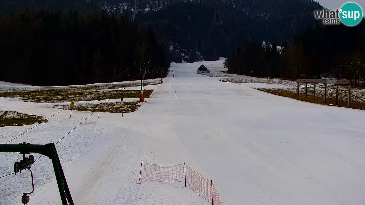 Skigebiet Kranjska Gora | Velika Dolina