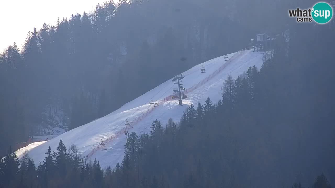 Skigebiet Kranjska Gora | Velika Dolina