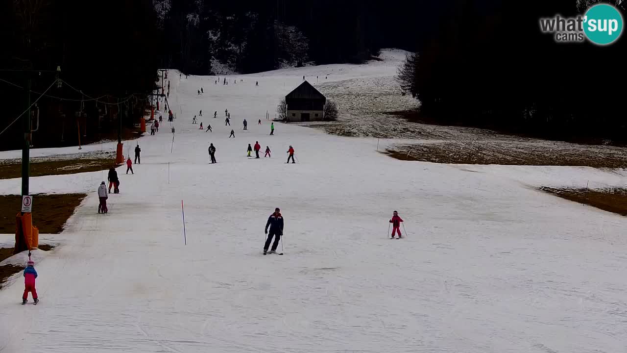 Estación de esquí Kranjska Gora | Velika Dolina