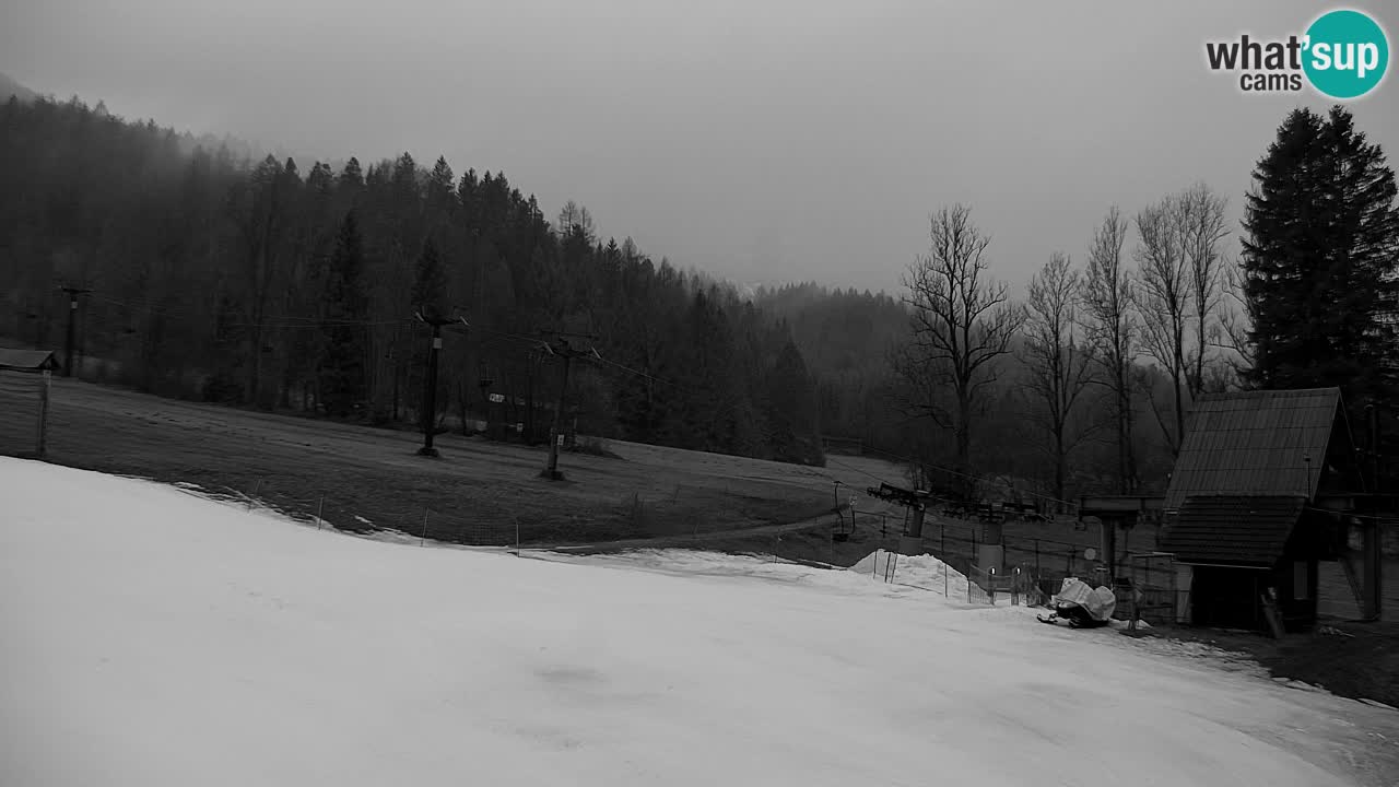 Estación de esquí Kranjska Gora | Velika Dolina