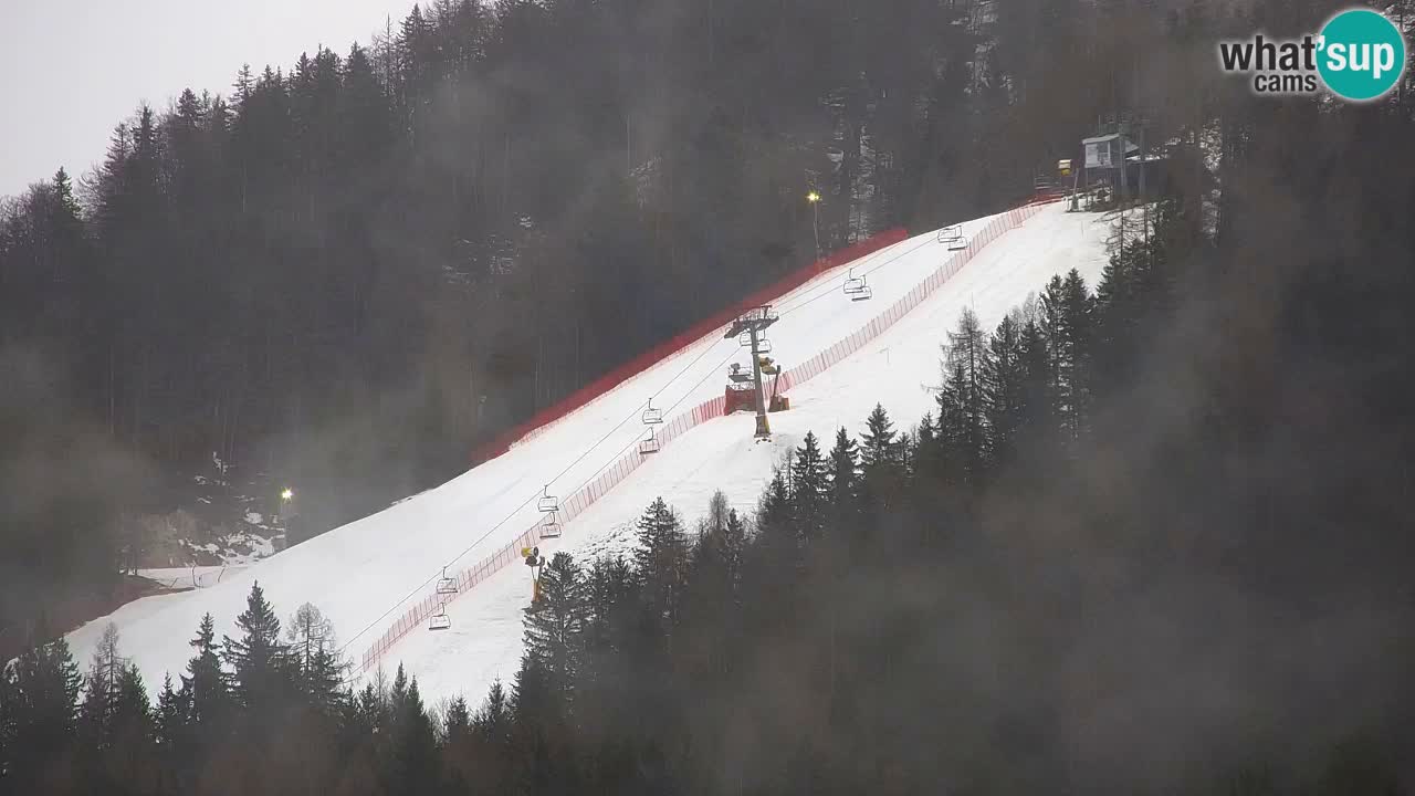 Skigebiet Kranjska Gora | Velika Dolina