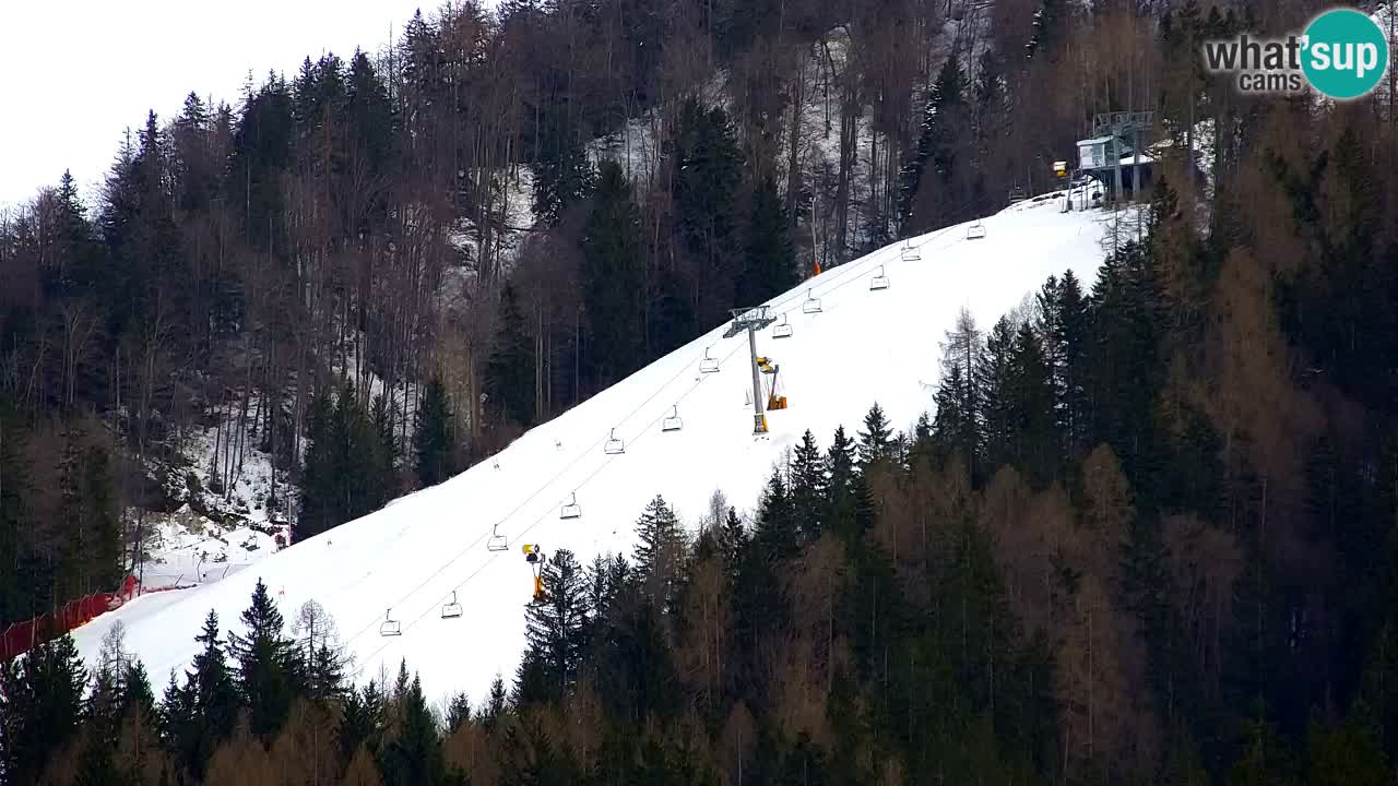 Skigebiet Kranjska Gora | Velika Dolina