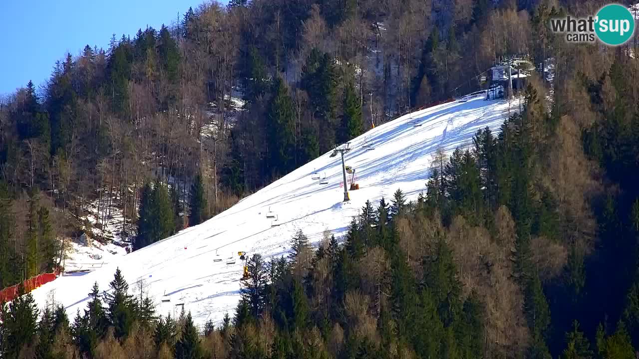 Skigebiet Kranjska Gora | Velika Dolina