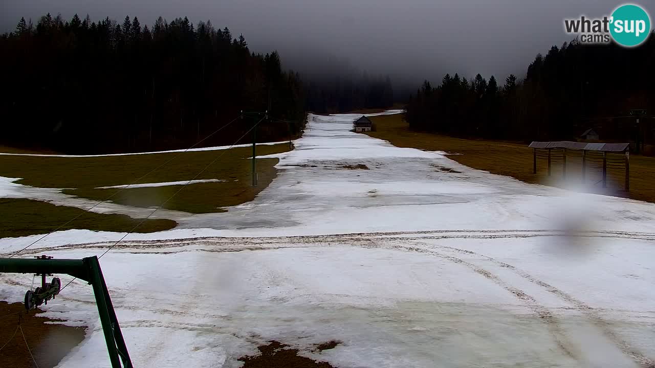 Ski Kranjska Gora | Velika Dolina